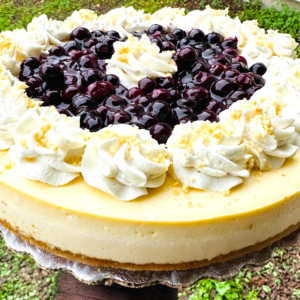 New York Style Blueberry Cheesecake