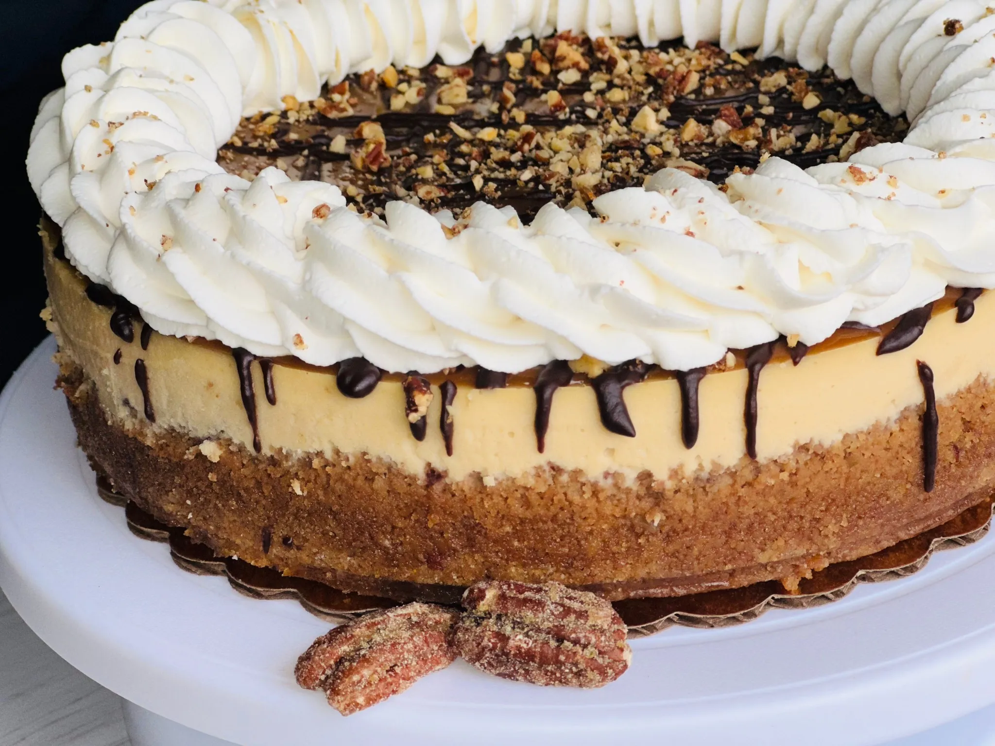 Turtle Cheesecake